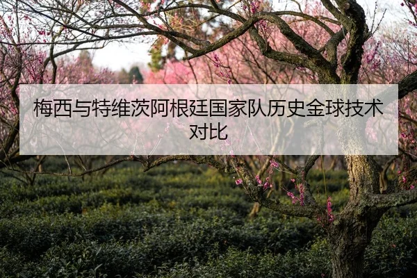 梅西与特维茨阿根廷国家队历史金球技术对比